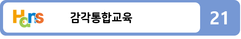 감각통합교육